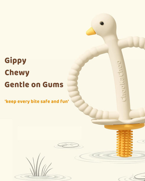 3-12 ChooKaChoo Baby Teether Toy and Training Toothbrush, Duck Silicone Teething Toys for Babies Months, Double Ring