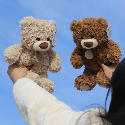 BIUBIULOVE 10Inch Teddy Bear Stuffed Animal, Soft Stuffed Teddy Bear Plush Toy, Birthday Xmas Gifts for Kids Baby