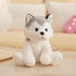 Houwsbaby 12'' Gray Light Up Husky Stuffed Animal Dog, Floppy LED Plush Toy Puppy Night Lights Glow Pillow for Kids
