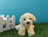 Jolitee Super Soft Plush Labrador Puppy Toy, 8" Cream Labradoodle Inspired Gift for All Ages