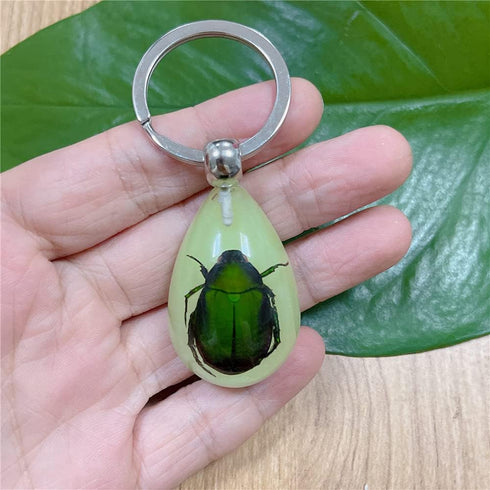 6 Pack Insect in Resin Specimen Collection, Luminous Glow in The Dark Keychain for Education
