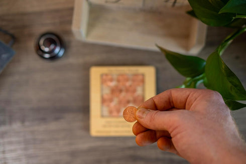 10 Penny Puzzle - Engaging Wood Brain Teaser