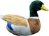 Nohito Kawaii Realistic Mallard Duck Plush Stuffed Animal Lifelike Green Duck Plushie