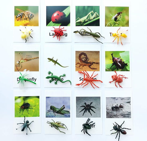 MEROCO Montessori Animal Match, Insect Animal Figurines with Matching Cards for Preschool Learning Toy NEWT008