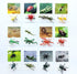 MEROCO Montessori Animal Match, Insect Animal Figurines with Matching Cards for Preschool Learning Toy NEWT008