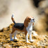 2.5" 3+ Safari Ltd. Beagle Figurine - Detailed Plastic Model Figure - Fun Educational Play Toy for Boys, Girls & Kids