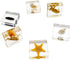6 Set,Hermit PCS Marine Life Specimen Crab,Fiddler Crab,Starfish,Nassariidae,Sea Cucumber, Chiromantes Dehaani Resin