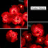 Kyglaring LED Light Kit for Lego Icons Roses Bouquet 2024 Building Set, Lighting Kit Designed for Lego 10328 Botanical