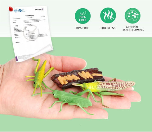 Volnau 16PCS Animal Figurines Toys Life Cycle Set for Toddlers Kids Plant Locust Butterfly Caterpillars Bee Educational