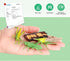 Volnau 16PCS Animal Figurines Toys Life Cycle Set for Toddlers Kids Plant Locust Butterfly Caterpillars Bee Educational