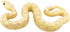 Snake Toys for Toddlers - Natural World Action Figures, Wildlife Figurines for Birthday Cake Topper and Garden