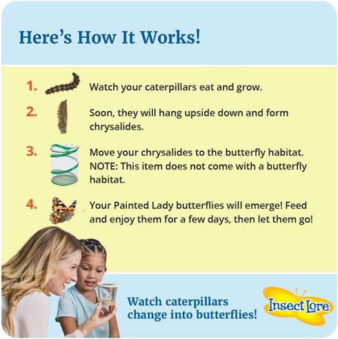 10 Insect Lore Two Cups of Live Caterpillars - Live Painted Lady Caterpillars with Food - Includes Bonus Butterfly Life