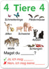 AGO Auf Deutsch - Fun Card Game for Beginners Learning German Conversation