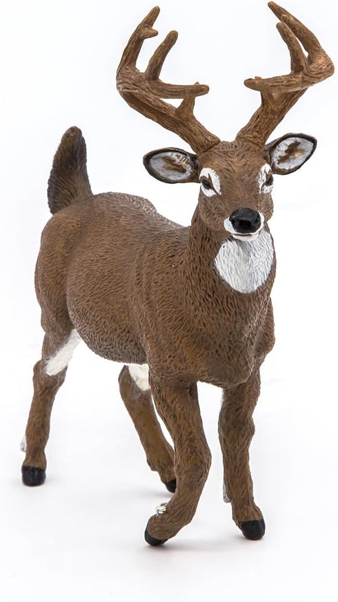 Papo White-Tailed Deer Figure - Realistic Forest Animal Toy for Kids Age 3+ - 10.4 x 4 x 10.9 cm