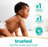 336 (4 Packs) Pampers Baby Wipes, Sensitive, Water Based Wipe, Clinically Proven, Hypoallergenic, and Unscented