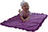 Baby Girls Reversible Stroller Blanket (Birds/Violet) Minky Velboa (Choose Color)