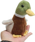 Cute Mallard Duck Plush Stuffed Animal, 5.5 Inch Lifelike Green Duck Plushie Toy for Kids Birthday Gifts