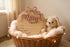 Personalized Baby Girl Birth Announcement Stat Sign with Bow Custom Round Wooden Name Plaque with Scalloped Edge