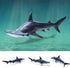 Gemini & Genius Great White Shark Hammerhead Shark Toy Set - 10 Inches Ocean Model Educational Figures