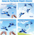 Toys,2.4GHz 6-axis RC Water Plane,RC Airplane for Water Land and Air, Remote Control Airplane Flying Fighter Gyro