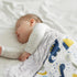 30 40 Inch Baby Blankets for Boys, Dinosaur Super Soft Nursery Minky Blanket for Newborn Baby, Double Layer with Dotted
