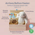 Set 11 3 Praise Bunny Christian Easter Gift for Kids Singing Plush Toy with Bible Songs, Hardcover Blessing Book