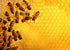 Ravensburger 1000 Piece Jigsaw Puzzle, The Beehive (Challenge Puzzle) for Adults & Children 14+