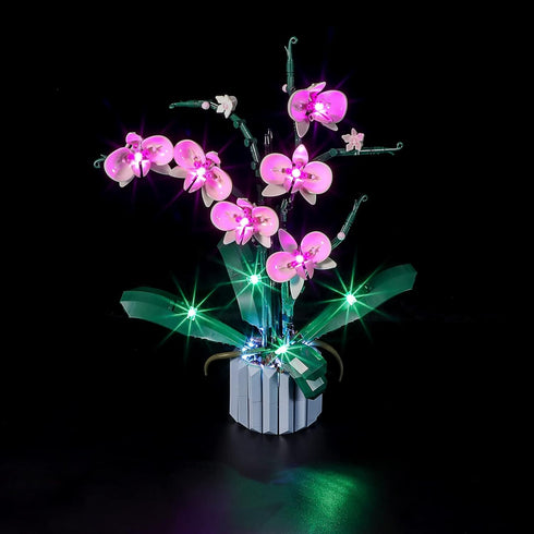 BRIKSMAX Led Lighting Kit for LEGO-10311 Orchid, Compatible with Lego Creator Expert Building Blocks Model, Set Not