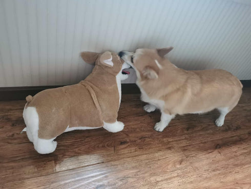 WOKI 20 Inch Corgi Dog Realistic Lifelike Louie Welsh Corgi Dog Plush Stuffed Animal Pet Dog Huggle Furry Corky