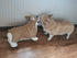 WOKI 20 Inch Corgi Dog Realistic Lifelike Louie Welsh Corgi Dog Plush Stuffed Animal Pet Dog Huggle Furry Corky