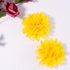 30pcs Baby Girls Alligator Hair Clips, Chiffon Flower Hair Barrettes Accessories for Kids Toddler Teens