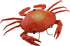 Tipmant RC Crab Animal Toy Remote Control Car Vehicle Electronic Fake Insect for Kids Birthday Gift Christmas Halloween