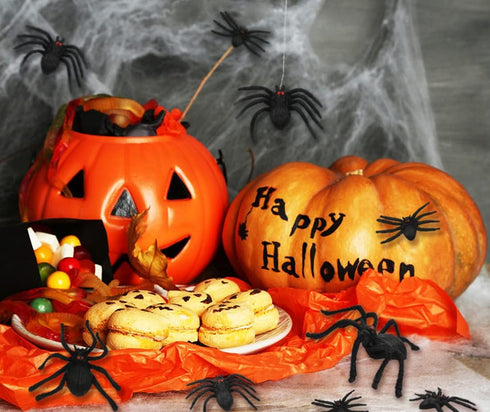 kockuu 46pcs Realistic Plastic Spider Toys, Fake Spider Prank Prop for Halloween Party Decorations and Gifts