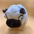 Hilarious Pug Stuffed Animal - 6" Funny Ugly Cute Pug Dog Plush Toy for Kids Boys Adults Birthdays Gift