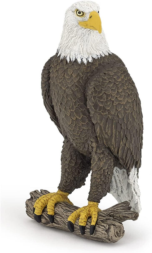 PAPO - Sea Eagle - Realistic Figurine - for Ages 3+ -