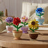 Sacblirr 6 Set Mini Flower Bonsai DIY Potted Plant Building Blocks Flower Seasons Rhythm for Kids and Adults, Botanical