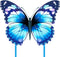Mint's Colorful Life Butterfly Kite - Easy to Fly, Large Single Line Kite with 300ft String Handle
