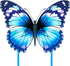 Mint's Colorful Life Butterfly Kite - Easy to Fly, Large Single Line Kite with 300ft String Handle