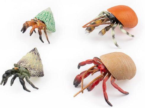 Framendino , 4 Pack Realistic Sea Animals Hermit Crab Model for Home Decorations
