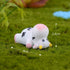 MAOMIA 6 Pcs Cow Figures for Kids, Cute Animal Toys Set, Cake Toppers Miniature Figurines Collection