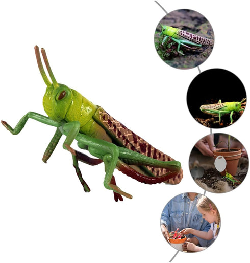 1pc Animal Model Christmas Ornaments, Educational Outdoor Playset Decor, Hanging Wall Decor Fake Grasshoppers Figurine