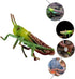 1pc Animal Model Christmas Ornaments, Educational Outdoor Playset Decor, Hanging Wall Decor Fake Grasshoppers Figurine