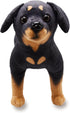 Realistic Rottweiler Stuffed Animal, 12 Inch Extremely Lifelike Plush Rottie Dog Toy for Kids