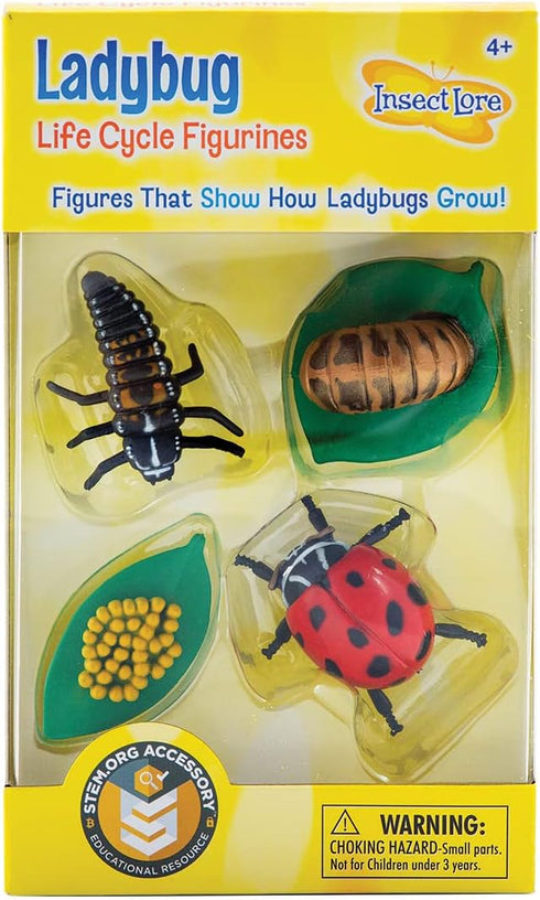 Insect Lore Ladybug Life Cycle, 4 PC Insect Figure Shows Life of Lady Bug