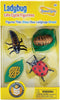 Insect Lore Ladybug Life Cycle, 4 PC Insect Figure Shows Life of Lady Bug