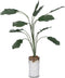 Dollhouse Plants Props - 1:12 Scale Miniature Banana Tree for Dollhouse Accessories