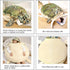 Giant Turtle Stuffed Animal Tortoise Plush Toys Doll - Wearable Turtle Shell