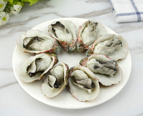Kmiunty 8Pcs Artificial Oysters Shellfish Seafood Model Photography Prop for Home Kitchen Party
