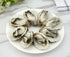 Kmiunty 8Pcs Artificial Oysters Shellfish Seafood Model Photography Prop for Home Kitchen Party
