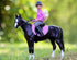 1:12 #61156 Breyer Freedom Series English Horse and Rider Figurine - Premium Scale Collectible Horse Toy - Educational